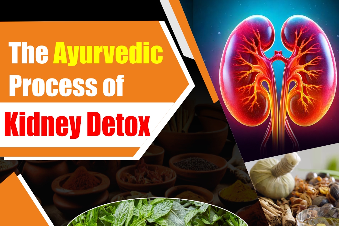 The Ayurvedic Process of Kidney Detox